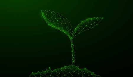 Machen Sie ihre Software 'grüner' : Automatisierte Einblicke in Green Software